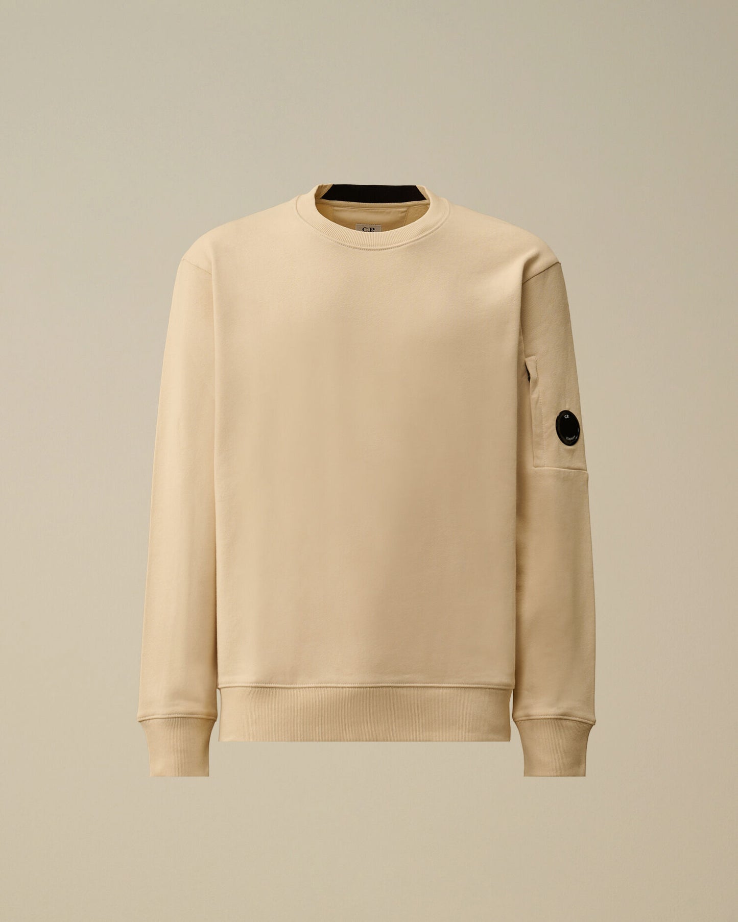 Diagonal Raised Fleece Crewneck Lens Sweatshirt, FROZEN DEW - WHITE