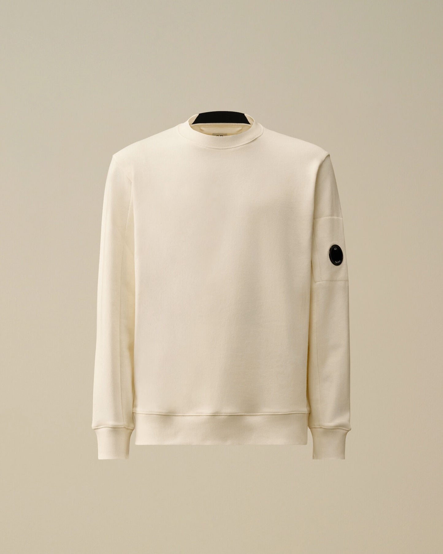 Diagonal Raised Fleece Crewneck Lens Sweatshirt, GAUZE WHITE